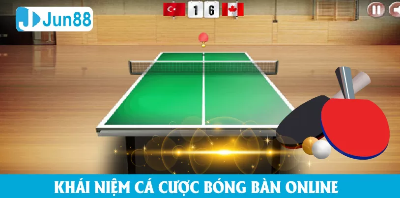 Giới thiệu về cá độ bóng bàn